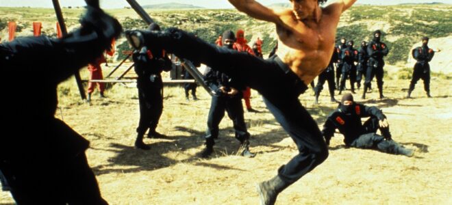 Amerykański ninja 2
