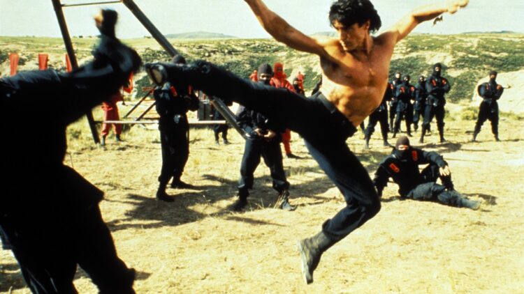 Amerykański ninja 2