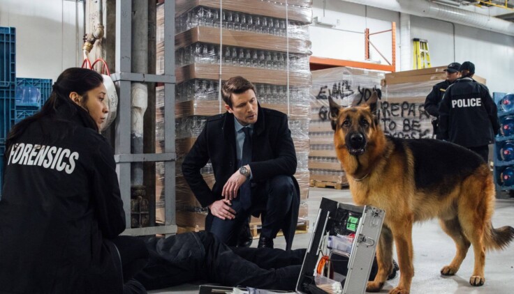 Hudson i Rex – Sezon 1 – Test wytrzymałości