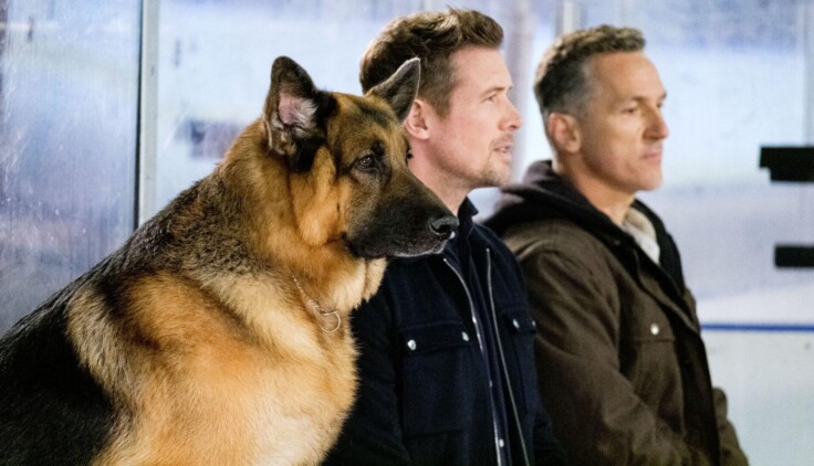 Hudson i Rex – Sezon 2 – Z życia infulencerki