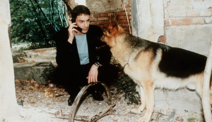 Komisarz Rex – Sezon 11 – Maestro muzyka