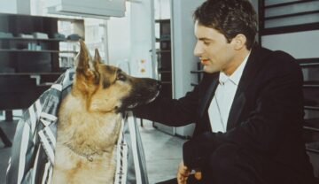 Komisarz Rex – Sezon 11 – Klątwa Caravaggia