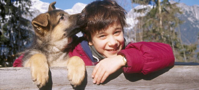 Komisarz Rex – Początek