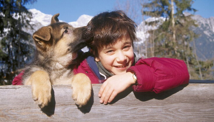 Komisarz Rex – Początek